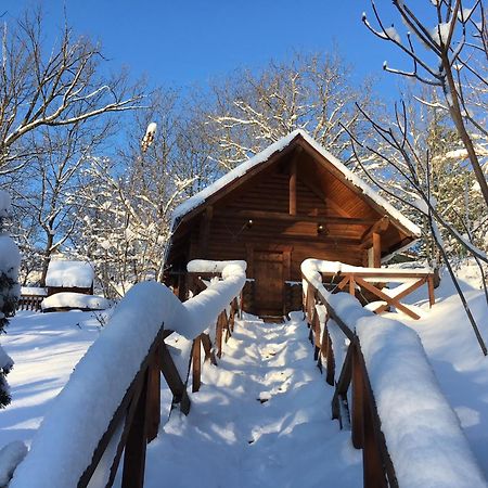 Guсulka Ksenia Villa Kosiv Exteriör bild